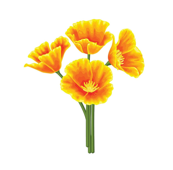 California Poppy Decals - Cover-Alls Decals