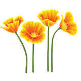 California Poppy Decals - Cover-Alls Decals