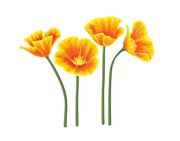 California Poppy Decals - Cover-Alls Decals