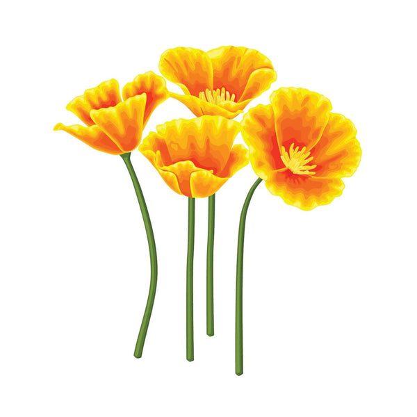 California Poppy Decals - Car Floats Reusable Car Decals