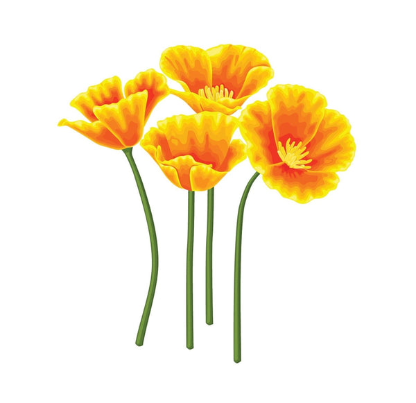 California Poppy Decals - Cover-Alls Decals