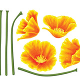 California Poppy Decals - Cover-Alls Decals