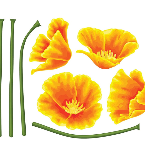 California Poppy Decals - Car Floats Reusable Car Decals