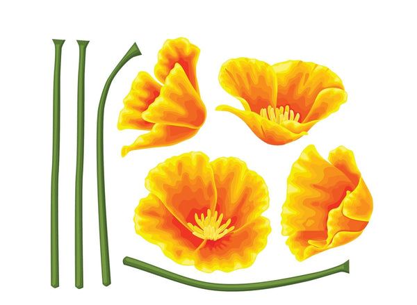 California Poppy Decals - Cover-Alls Decals