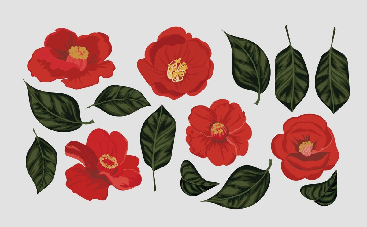 Camellia Decals - Cover-Alls Decals