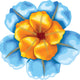 Blue/Gold