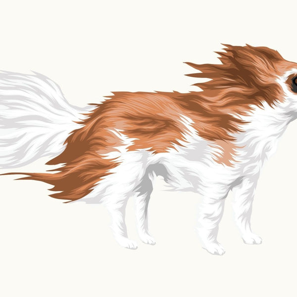 Life-Sized Long Haired Chihuahua Decal - Cover-Alls Decals