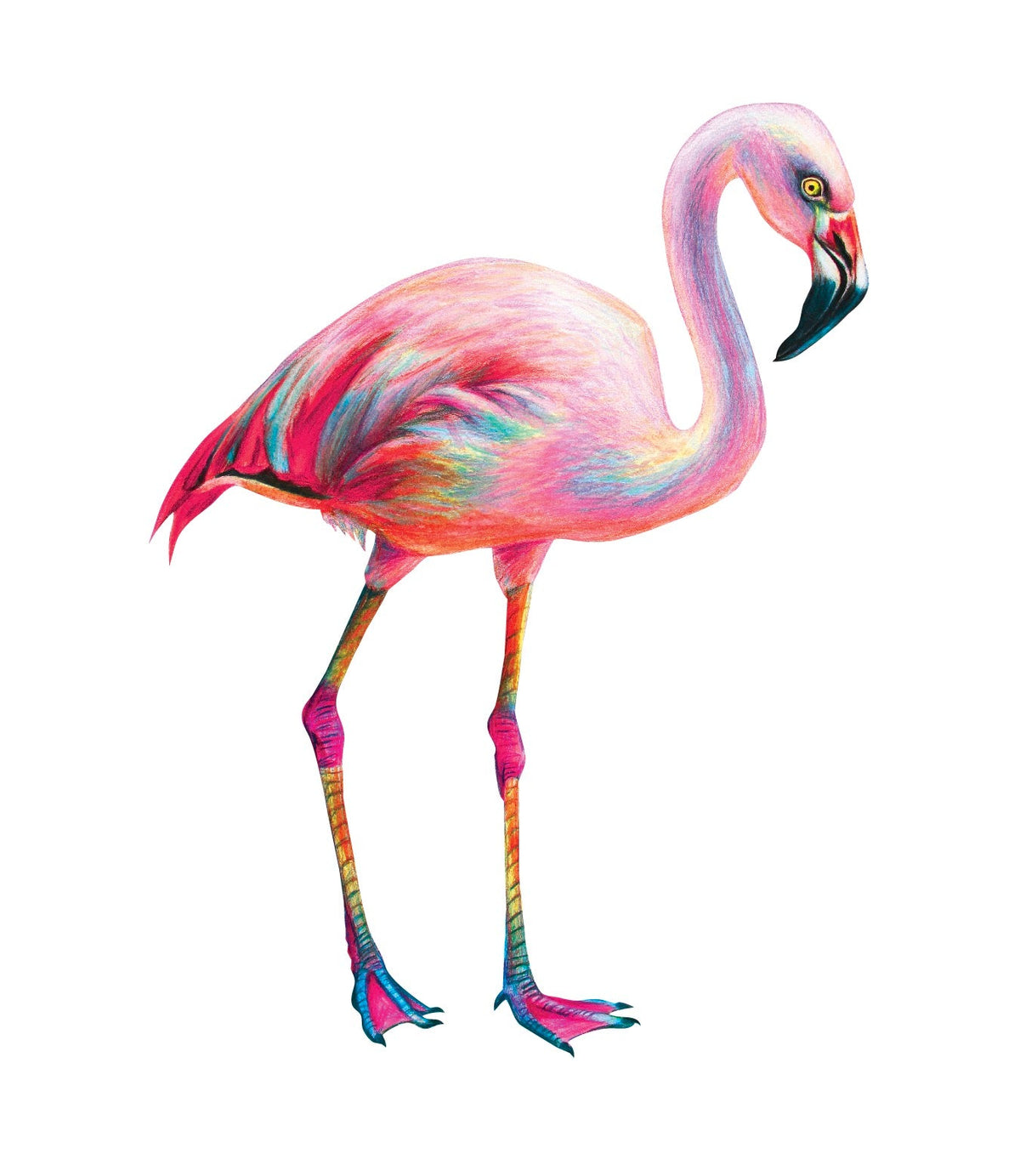 Colorful Flamingo - Cover-Alls Decals