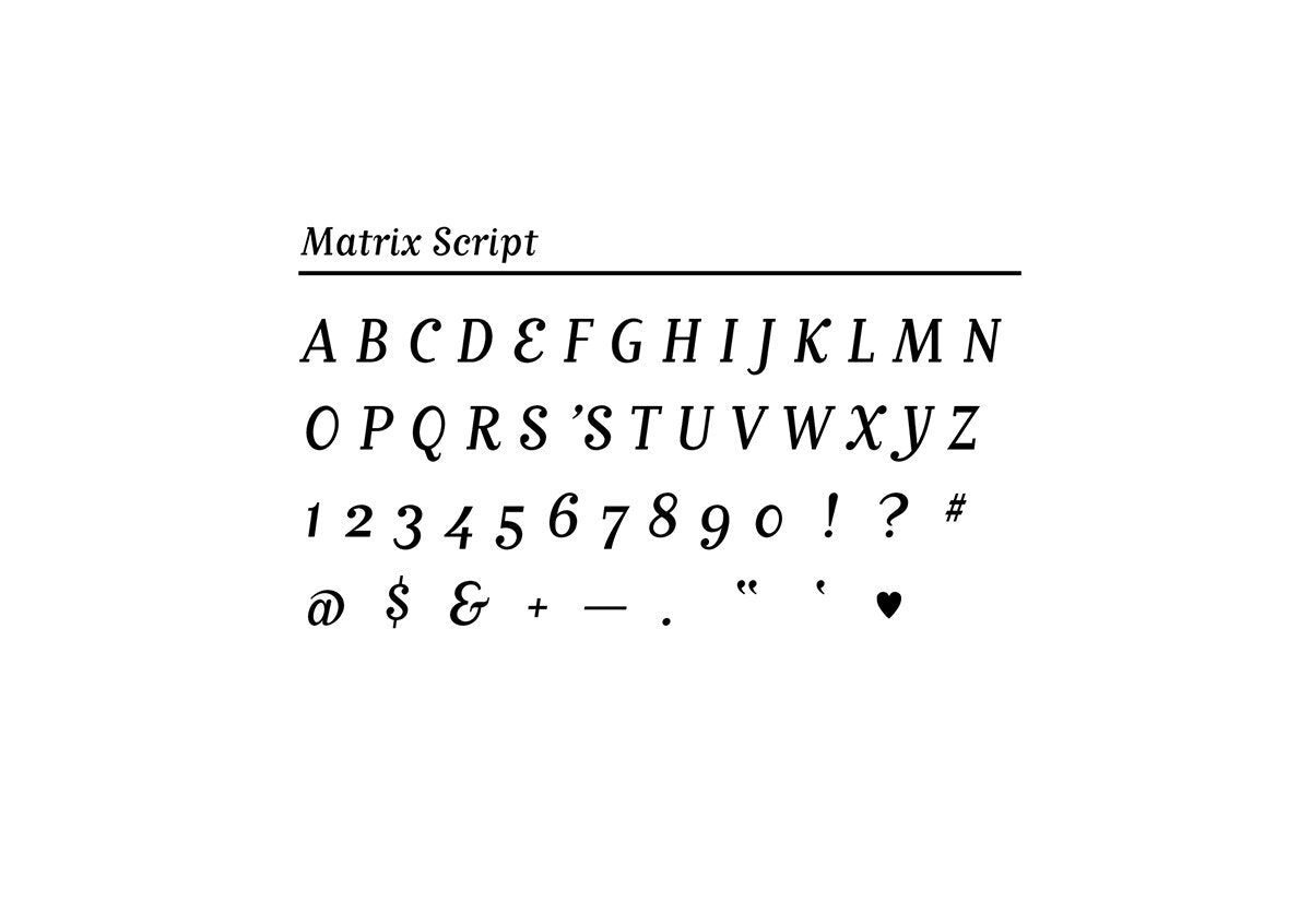 Custom Letters on Banners or Circles - Cover-Alls Decals