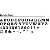 Custom Letters on Banners or Circles - Cover-Alls Decals