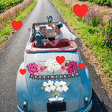 Custom Letters on Banners or Circles - Cover-Alls Decals