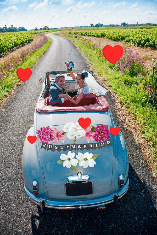 Custom Letters on Banners or Circles - Cover-Alls Decals