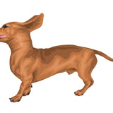 Life-Sized Miniature Dachshund Decal - Cover-Alls Decals