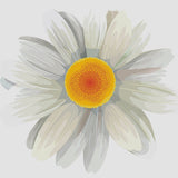 Daisy decals - Cover-Alls Decals
