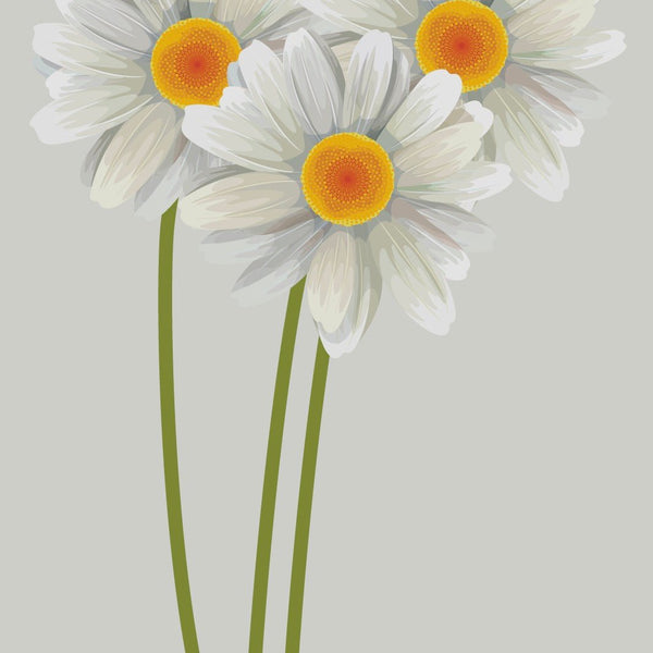 Daisy decals - Cover-Alls Decals