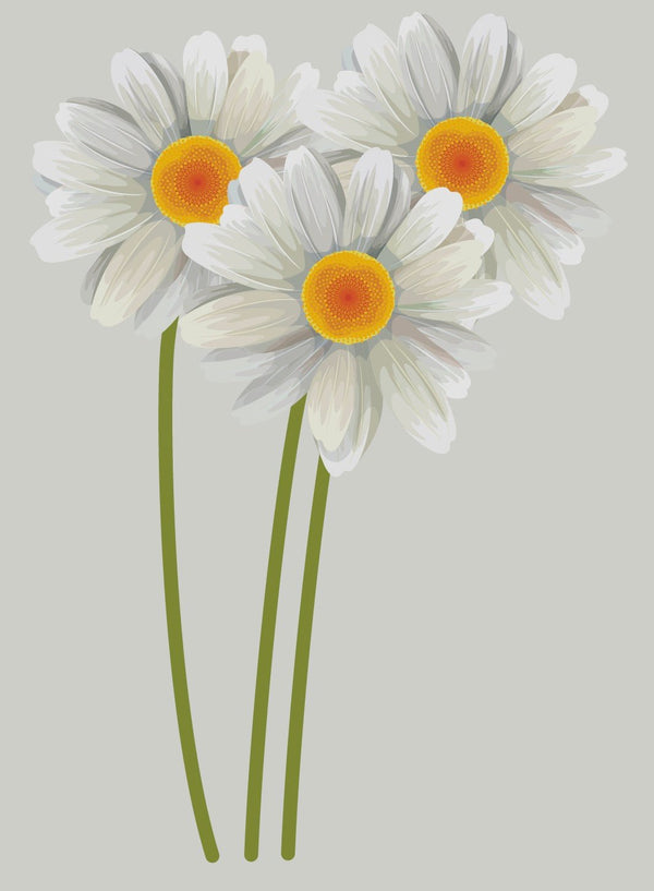 Daisy decals - Cover-Alls Decals