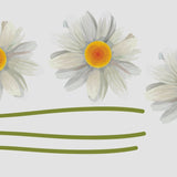 Daisy decals - Cover-Alls Decals