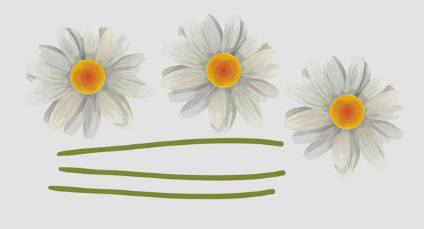 Daisy decals - Cover-Alls Decals