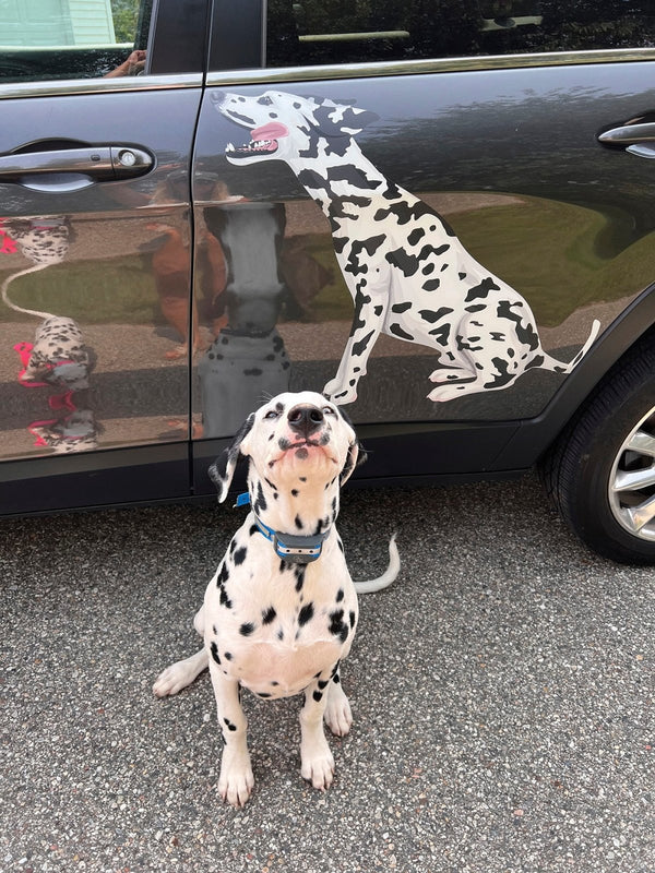 Dalmatian Decals - Cover-Alls Decals