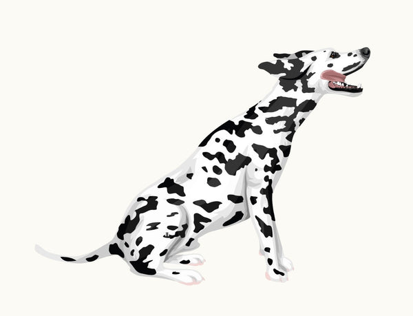 Dalmatian Decals - Cover-Alls Decals