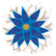 Blue/White