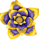 Purple & Gold
