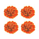 Only Orange