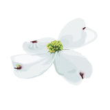 Dogwood Blossoms and Leaf Decals - Cover-Alls Decals