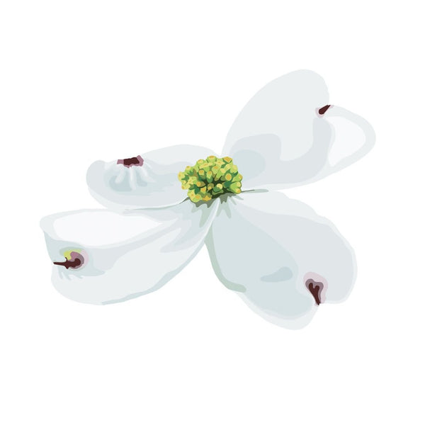 Dogwood Blossoms and Leaf Decals - Car Floats Reusable Car Decals