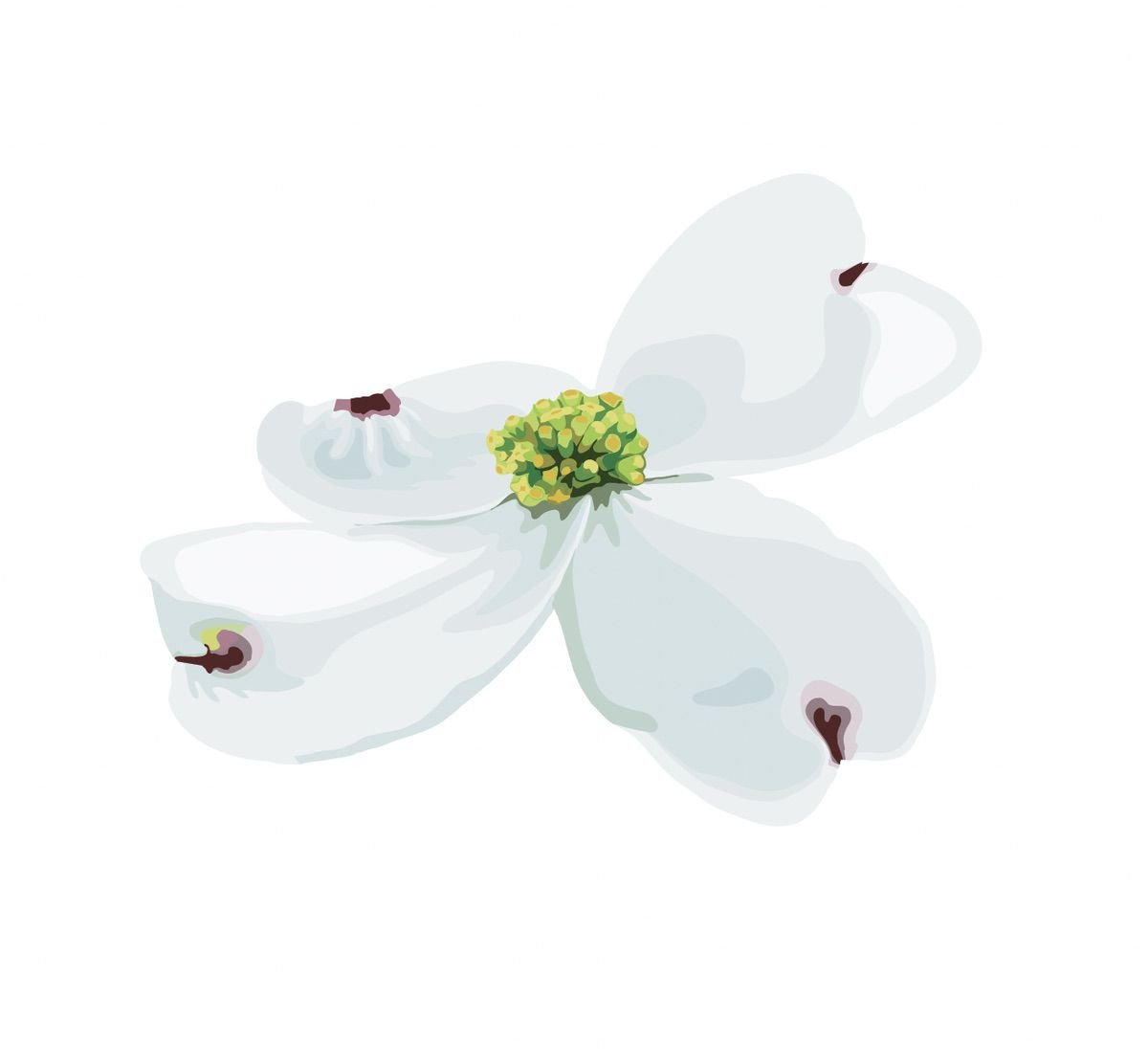 Dogwood Blossoms and Leaf Decals - Cover-Alls Decals