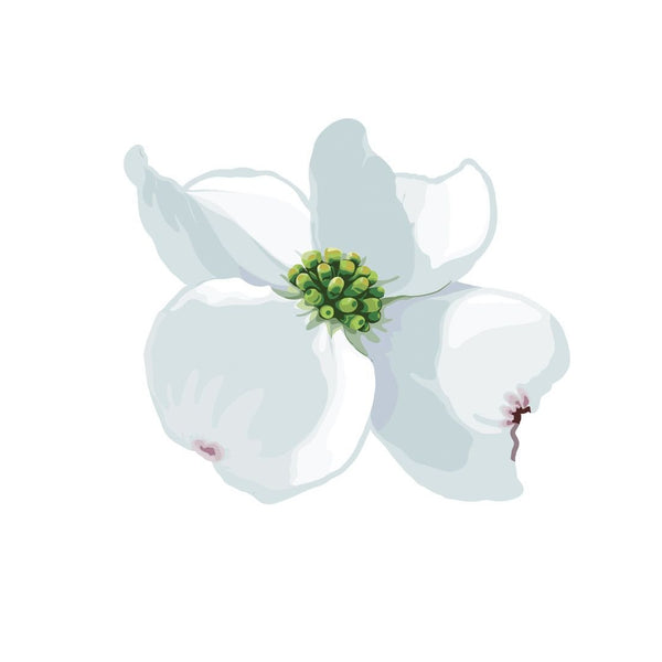 Dogwood Blossoms and Leaf Decals - Cover-Alls Decals