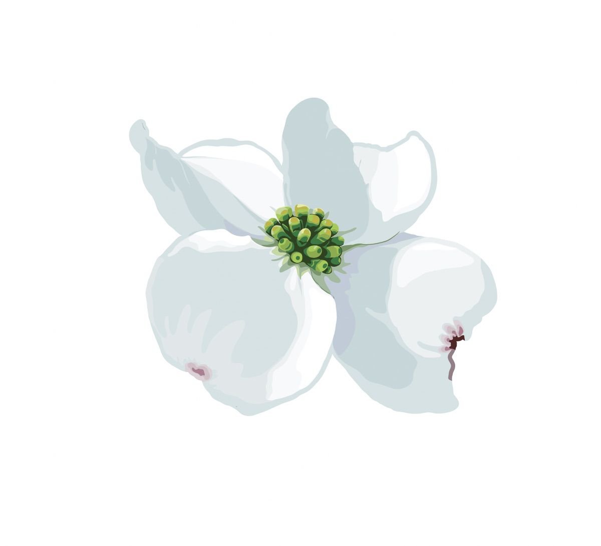 Dogwood Blossoms and Leaf Decals - Cover-Alls Decals