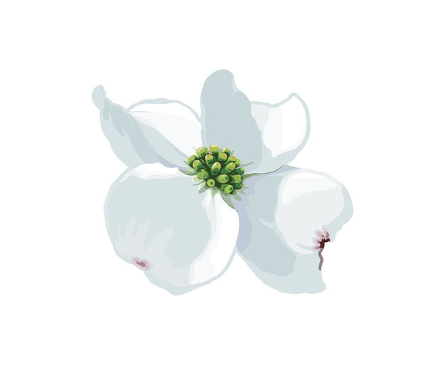Dogwood Blossoms and Leaf Decals - Cover-Alls Decals