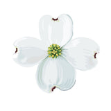 Dogwood Blossoms and Leaf Decals - Cover-Alls Decals