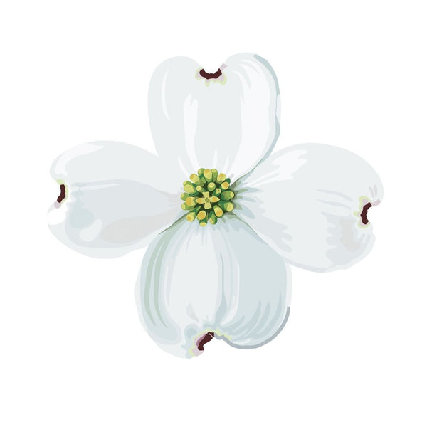 Dogwood Blossoms and Leaf Decals - Cover-Alls Decals