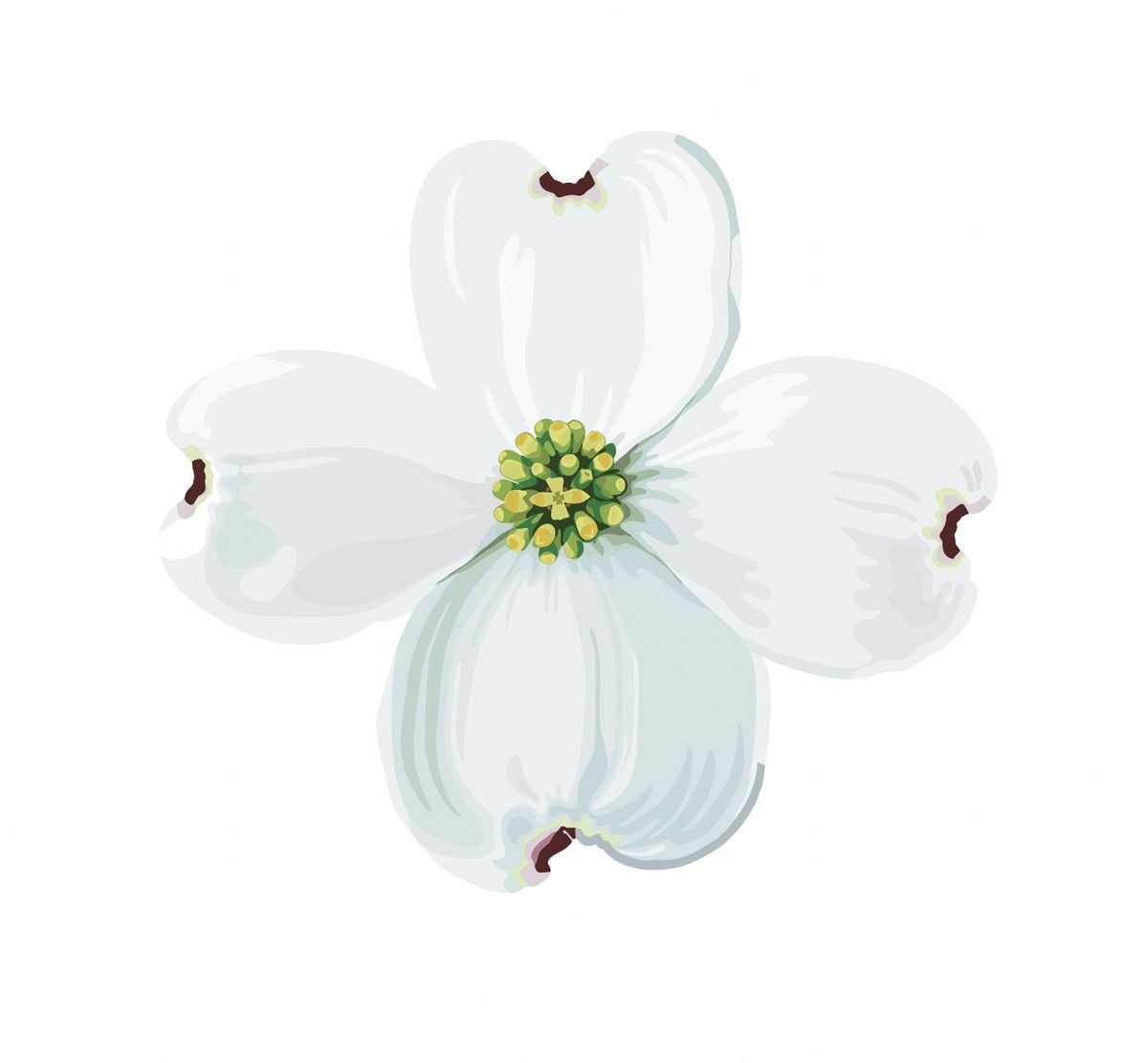 Dogwood Blossoms and Leaf Decals - Cover-Alls Decals
