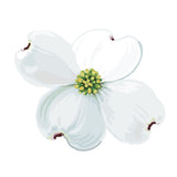 Dogwood Blossoms and Leaf Decals - Cover-Alls Decals