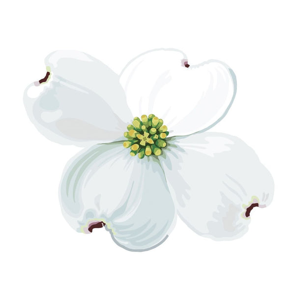 Dogwood Blossoms and Leaf Decals - Cover-Alls Decals