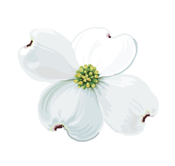 Dogwood Blossoms and Leaf Decals - Cover-Alls Decals
