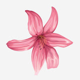 Spring Flower Bouquet Decals - Cover-Alls Decals