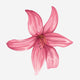 4. Lily