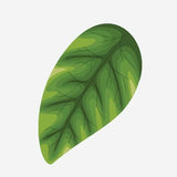 Spring Flower Bouquet Decals - Cover-Alls Decals