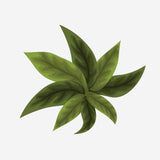 Spring Flower Bouquet Decals - Cover-Alls Decals