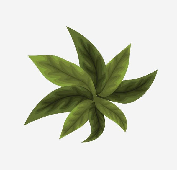 Spring Flower Bouquet Decals - Cover-Alls Decals