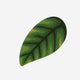 13. Leaf