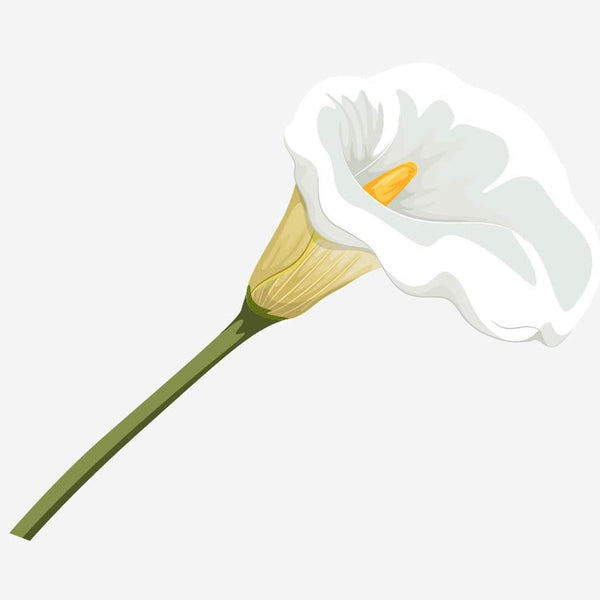 Spring Flower Bouquet Decals - Cover-Alls Decals