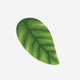 15. Leaf