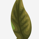 Spring Flower Bouquet Decals - Cover-Alls Decals