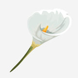 Spring Flower Bouquet Decals - Cover-Alls Decals