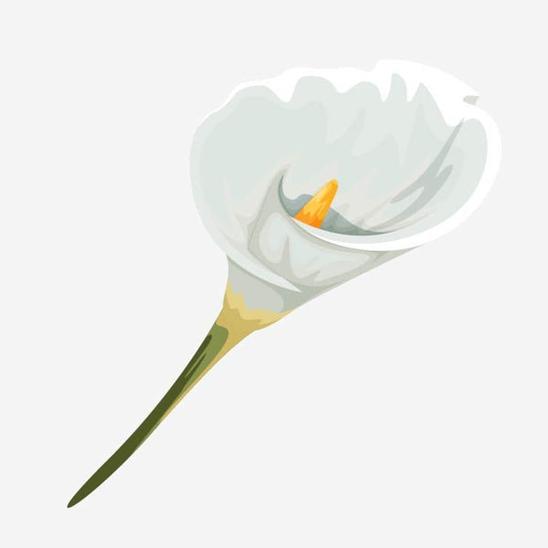 Spring Flower Bouquet Decals - Cover-Alls Decals